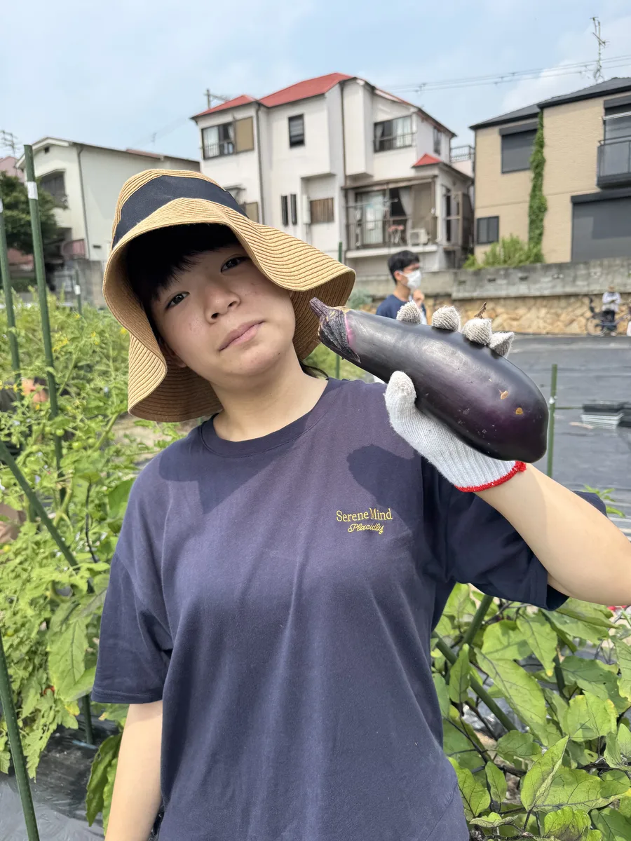 畑で野菜を育て収穫する生徒たち（1）