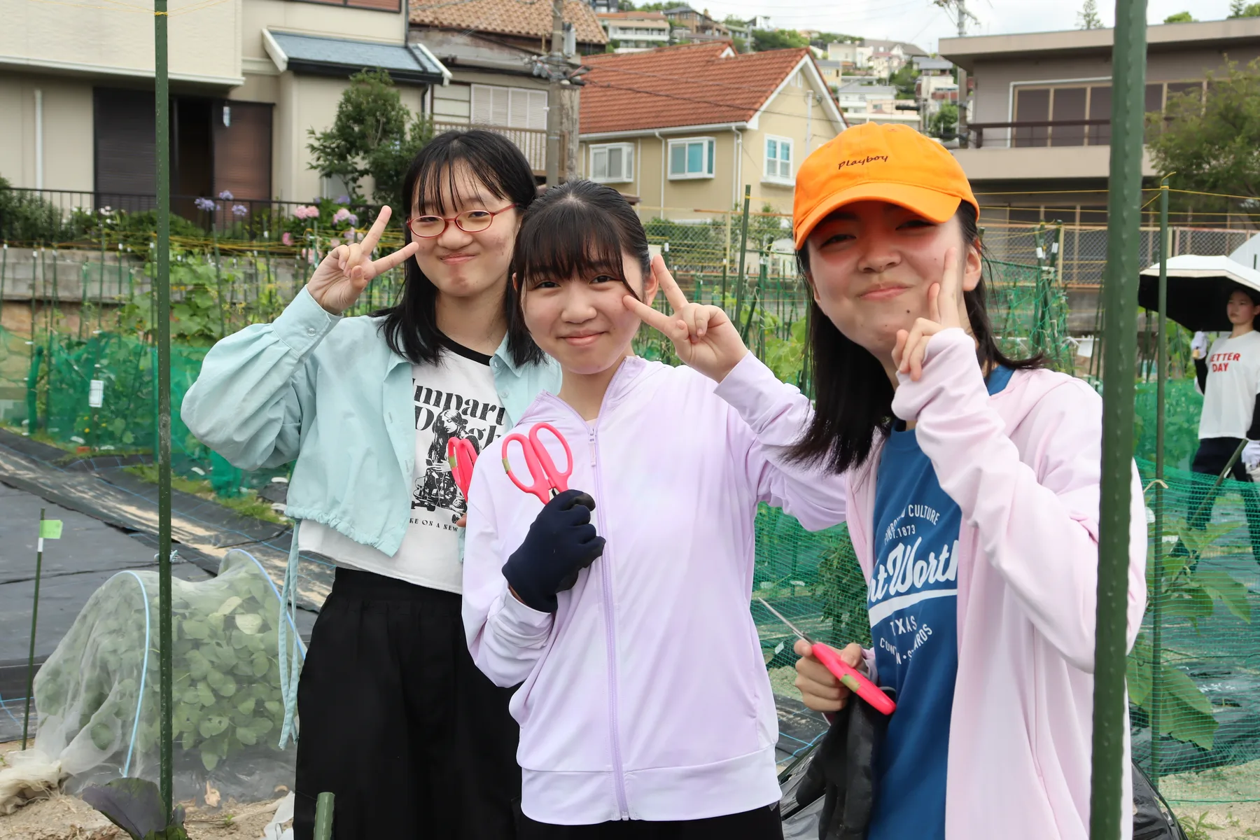 畑で野菜を育て収穫する生徒たち（2）